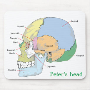 Personalise Skull Anatomy Mouse Mat