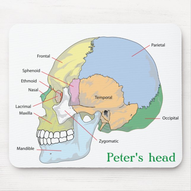 Personalise Skull Anatomy Mouse Mat (Front)