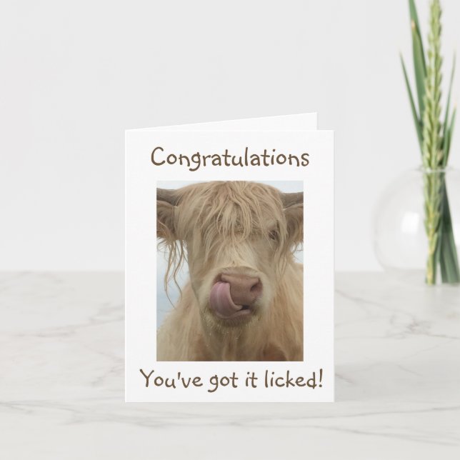 Personalise Text Funny Cow Card (Front)