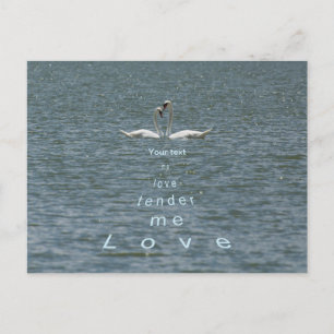 Personalise Two Swans Love me tender love me Postcard