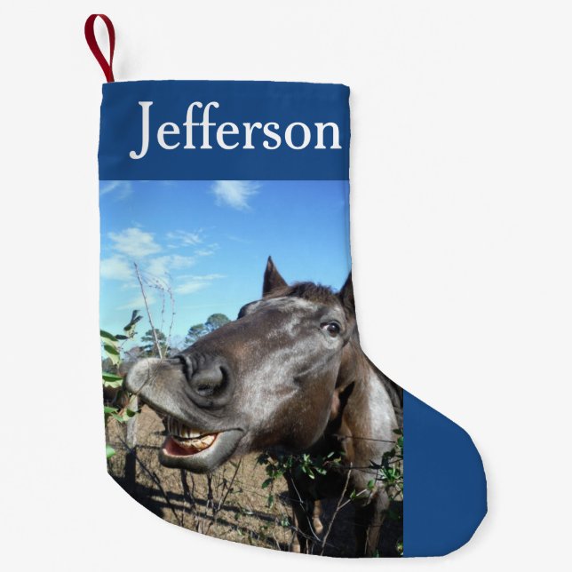 Personalise with Name ,Funny face Christmas Horse Small Christmas Stocking (Front)