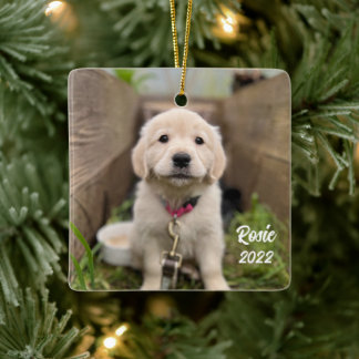 Personalise with Your Pet Picture Ceramic Ornament