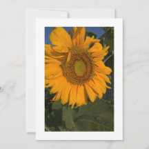 Personalise Your Card Custom Invitation