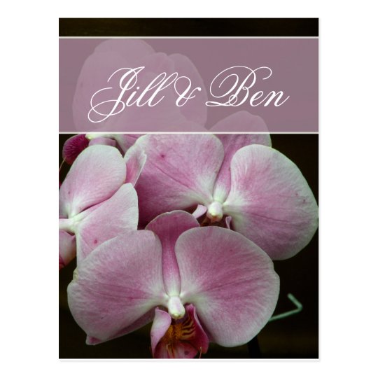 Personalise your own orchid design postcard