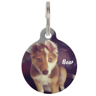 Personalise your own pet tag
