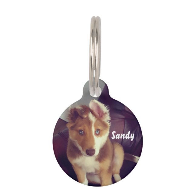 Personalise your own pet tag (Front)