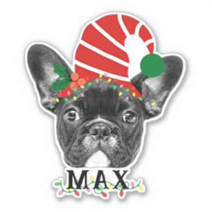 Personalise Your Pet Face and Name Fun Holiday