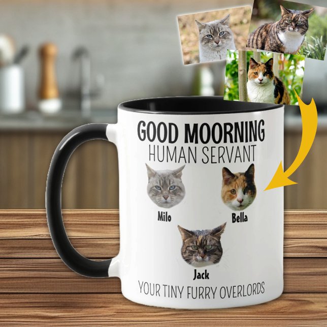Personalised 3 Cat Photo  Mug (Creator Uploaded)
