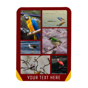 Personalised 5 Images Flexible Photo Magnet