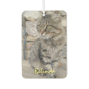 Personalised Add Name and Photo Car Car Air Freshener