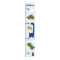Personalised Adorable Dinosaur Growth Chart