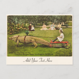 Personalised Alligator Postcard