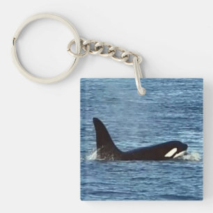 Personalised Aquarius Orca West Coast Community Key Ring