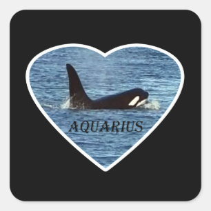 Personalised Aquarius Orca Whale Customisable  Square Sticker