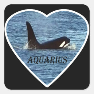 Personalised Aquarius West Coast Community Whale Square Sticker