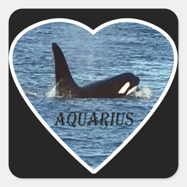 Personalised Aquarius West Coast Community Whale Square Sticker (Front)