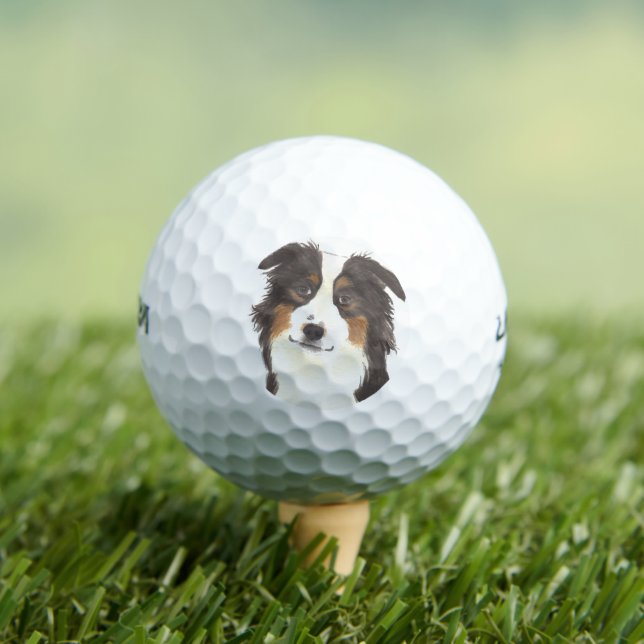 Personalised Aussie Australian Shepherd Golf Balls (Insitu Tee)
