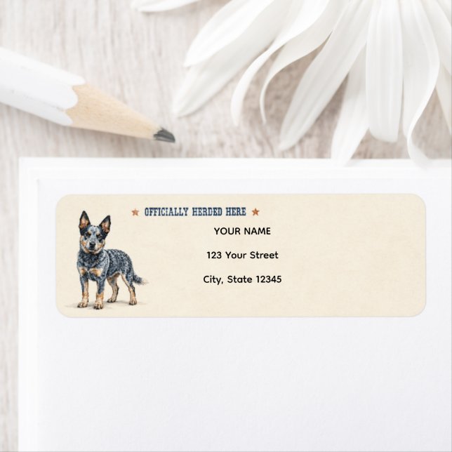 Personalised Australian Cattle Dog (Insitu)