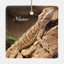 Personalised Baby Bearded Dragon Lizard