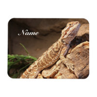 Personalised Baby Bearded Dragon Lizard