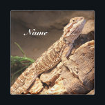 Personalised Baby Bearded Dragon Lizard Magnet<br><div class="desc">Personalised Baby Bearded Dragon Lizard Magnet</div>