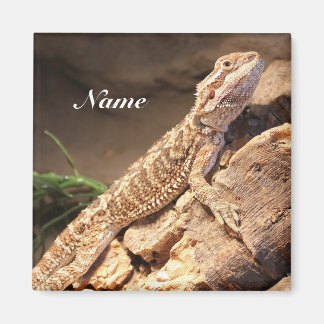 Personalised Baby Bearded Dragon Lizard Magnet
