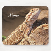 Personalised Baby Bearded Dragon Lizard