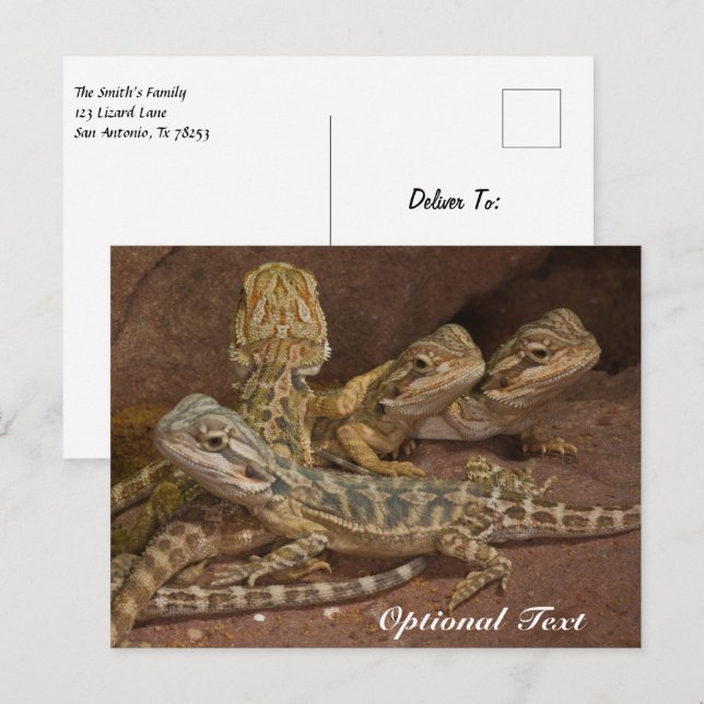 Personalised Baby Bearded Dragon Lizard Postcard (Front/Back)