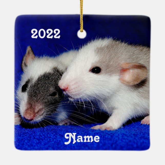 Personalised Baby Fancy Pet Rat Pups Ceramic Ornament (Back)