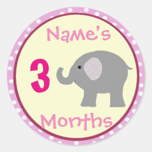 Personalised Baby Girl Elephant Month Stickers