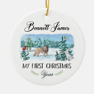 Personalised Baby's First Christmas Ornament