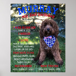 Personalised BARKday Dog Birthday Party Milestone Poster