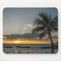 Personalised Beach Palm Tree Tropical