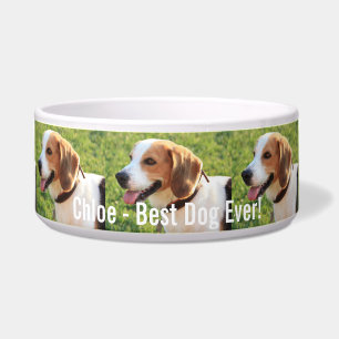 Personalised Beagle Dog Photo and Dog Name