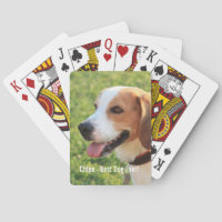 Personalised Beagle Dog Photo and Dog Name