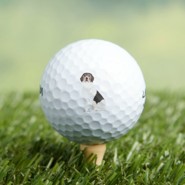 Personalised Beagle Golf Balls (Insitu Tee)