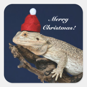 Personalised Bearded Dragon Lizard - Santa Hat Square Sticker
