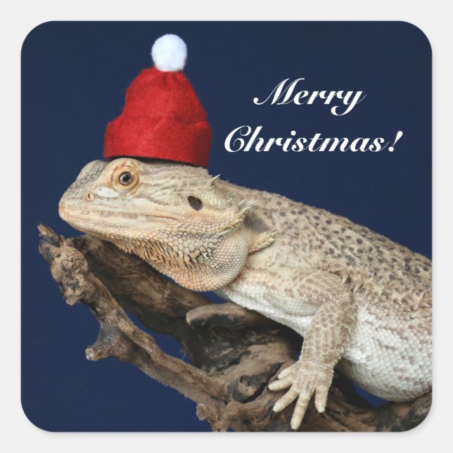 Personalised Bearded Dragon Lizard - Santa Hat Square Sticker (Front)