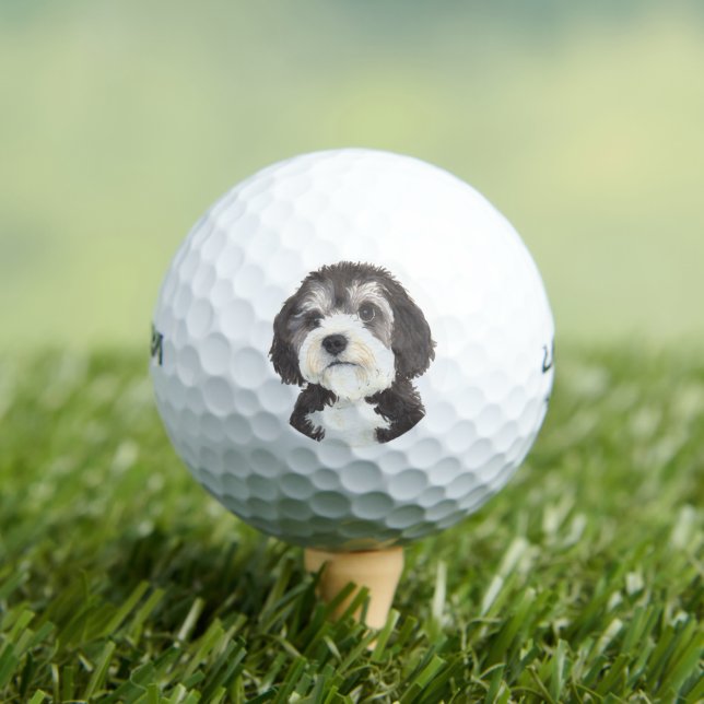 Personalised Bernedoodle Beverage Coaster Golf Balls (Insitu Tee)