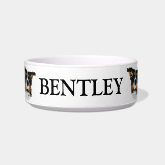 Personalised Bernese Mountain Dog Pet Bowl