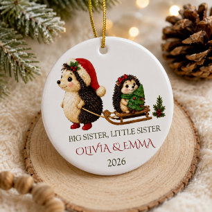 Personalised Big Sister Little Sister Hedgehog Ceramic Tree Decoration