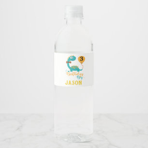 Personalised Birthday Boy Dinosaur Water Bottle Label