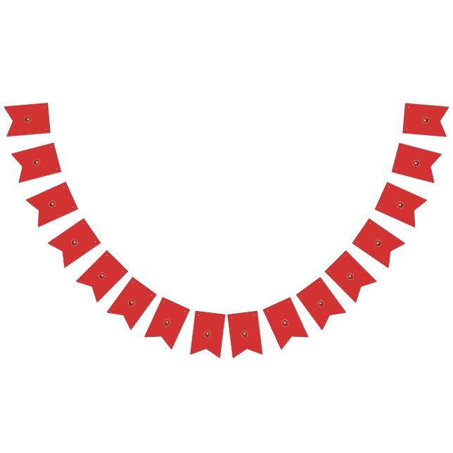 Personalised Birthday & Wedding Bunting Banners (All)