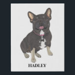 Personalised Black and Tan Frenchie French Bulldog Faux Canvas Print<br><div class="desc">I am in love with this beautifully detailed watercolor illustration of a black and tan tricolor frenchie or french bulldog! Personalise these canvas art prints with your name or monogram and even and change the background colour to compliment your decor! Shop the rest of my collection for the sweetest housewarming,...</div>
