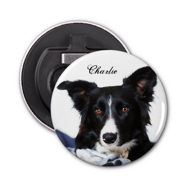 Personalised Black and White Border Collie Bottle Opener (Front)