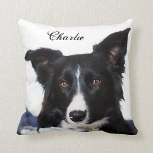Personalised Black and White Border Collie Cushion