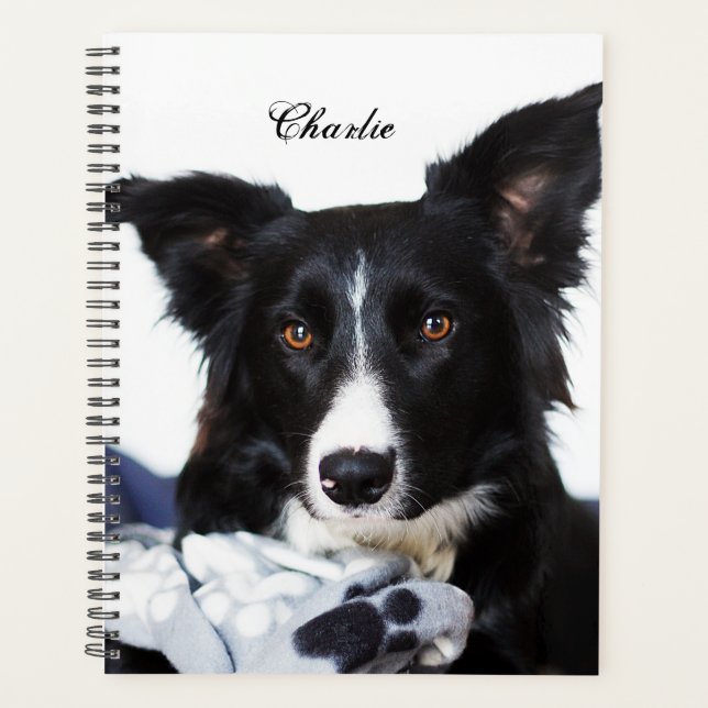 Personalised Black and White Border Collie Planner (Front)