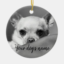Personalised black and white chihuahua