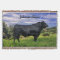Personalised Black Angus Throw Blanket