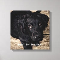 Personalised Black Lab Dog Photo and Dog Name